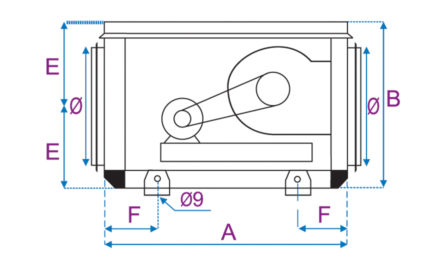 Dimensions CVAT - Face